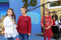 IMG-372e6a3feec89aa907cca5c6156bd514-V.jpg